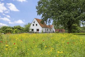 +++Verkauft+++Einfamilienhaus zum Kauf: Ihr Traumdomizil in idyllischer Lage !! Haus kaufen 49733 Haren (Ems) Bild mittel