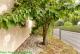 Einfamilienhaus mit Carport und angelegtem Garten Haus kaufen 04651 Bad Lausick Bild thumb