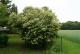 Grundstück in Dabendorf mit Blick auf Feld und Naturschutzgebiet Grundstück kaufen 15806 Zossen Bild thumb